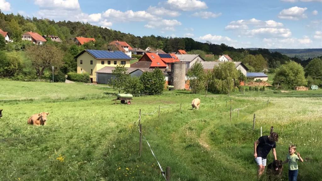 Ferienwohnungen Elsbacher Hof Erbach  Exterior photo